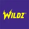 Wildz Casino Logo