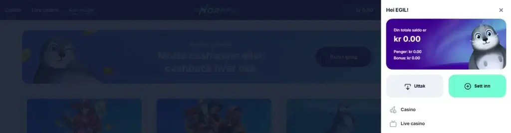 Gjør ditt første innskudd på Norppa Casino