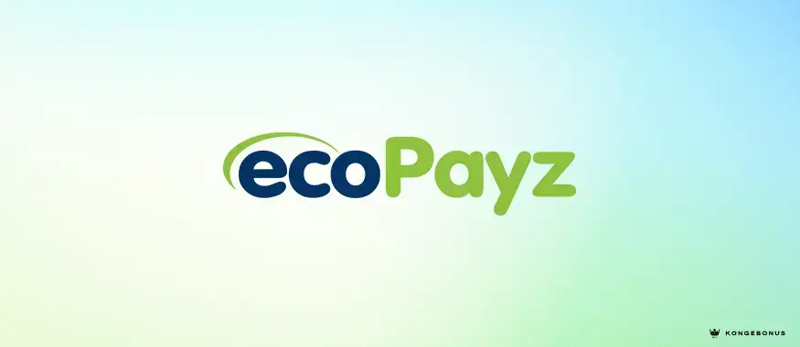 Payz tidligere Ecopayz betalingstjeneste