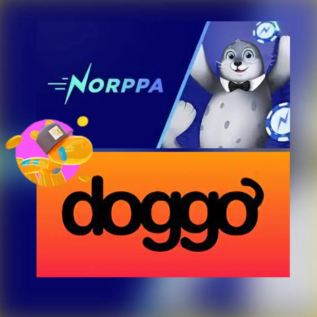 doggo og norppa casino fra samme operatør blir sannsynligvis å stenge begge casinoene i nær fremtid.