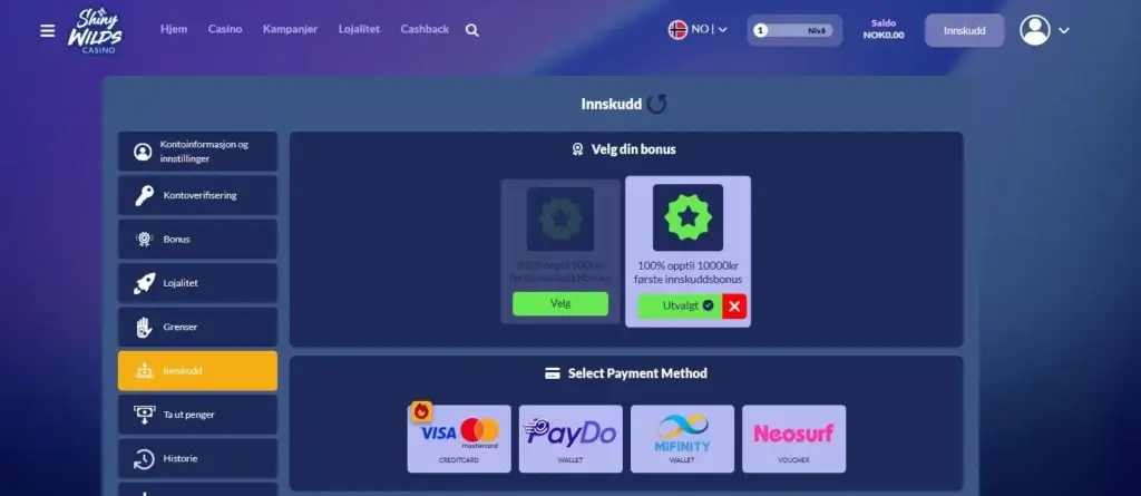 Betalingsmetoder på casinoet