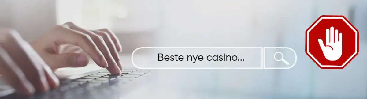 banner som viser simulert søk og dns blokkering