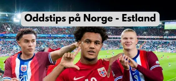 Norge – Estland 13.11.2025 image