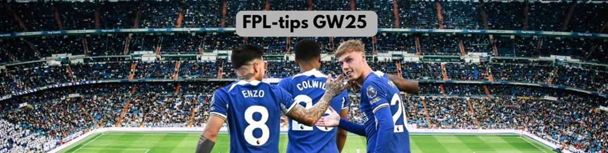 FPL tips GW25