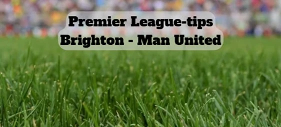 Brighton – Manchester United 24.05.2026 image