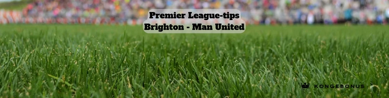 Brighton Man United oddstips Premier League