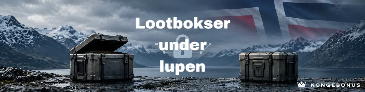 lootbokser under lupen for dns blokkering banner